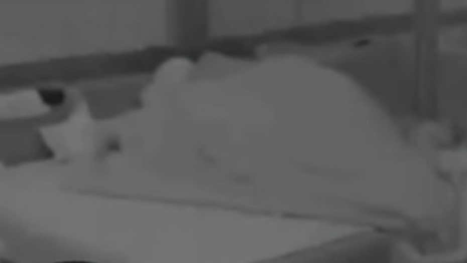 ŽESTOKA VRELA AKCIJA TEODORE I NIKOLE U ELITI Tukli se, a onda šokirali gledaoce radnjom ispod pokrivača