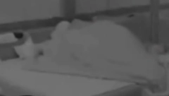 ŽESTOKA VRELA AKCIJA TEODORE I NIKOLE U ELITI Tukli se, a onda šokirali gledaoce radnjom ispod pokrivača
