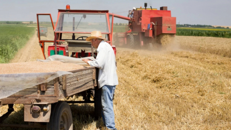 Ljudi se okreću selu: Sve bliži datum proglašenja Najdomaćina u Srbiji