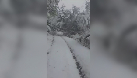 OPET PARALISANO PRIJEPOLJE, 1.000 LJUDI BEZ STRUJE Ovo su najkritičnije tačke, SVE EKIPE SU NA TERENU (FOTO)