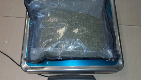 SRPSKI CARINICI UMESTO 2 DUKSERICE NAŠLI DROGU Evo kome je bila namenjena