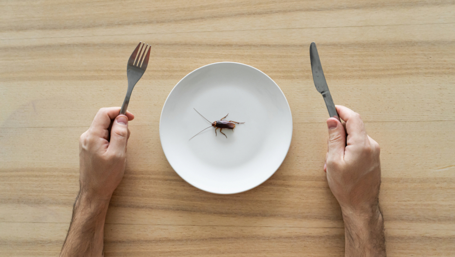 BUBAŠVABA KAO DELIKATES Student dobio insekta na tanjiru za picu