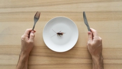 BUBAŠVABA KAO DELIKATES Student dobio insekta na tanjiru za picu