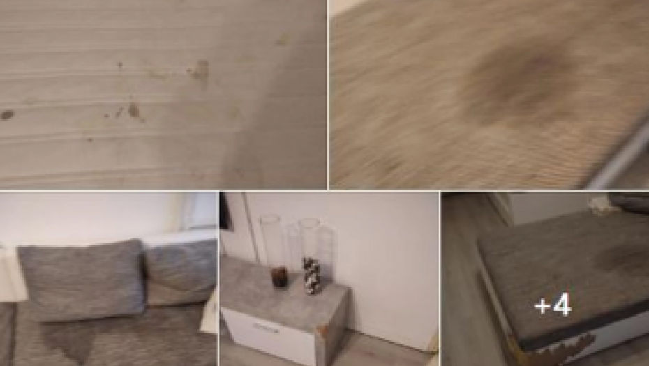 STANARI IZ PAKLA JASMINKI NAPRAVILI ŠTETU OD 1.000 EVRA Uništili joj stan, ŠTROKA JE SVUDA, posle njih se zaglavila u dugovima