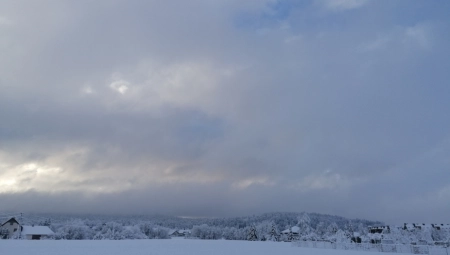 PINGVINI PADAJU U NESVEST Na najhladnijem mestu na svetu jutros je "samo" minus 50