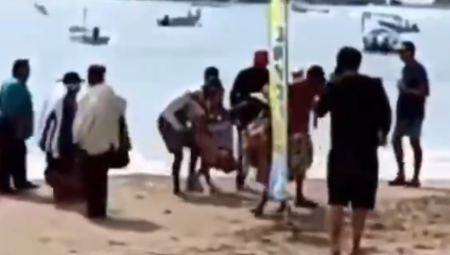 MARIJU UBILA AJKULA DOK JE POKUŠAVALA SPASI ĆERKICU (5) Pojavio se jeziv snimak sa plaže (UZNEMIRIJUĆE)