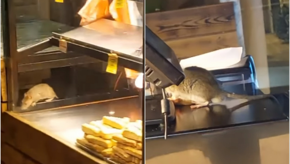 PEKARA PO KOJOJ SU ŠETALI PACOVI HITNO ZATVORENA Evo šta su napisali kao razlog prestanka sa radom (FOTO)