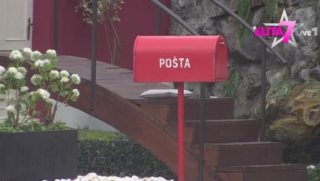 NEMILOSRDNA KAZNA ČELNIKA PINK TELEVIZIJE! Hitno obaveštenje Velikog šefa, ovaj učesnik prekršio strogo pravilo!