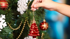 PITANJE KOJE JE POKRENULO RASPRAVU NA MREŽAMA Da li tuširate jelku pre nego što je okitite?