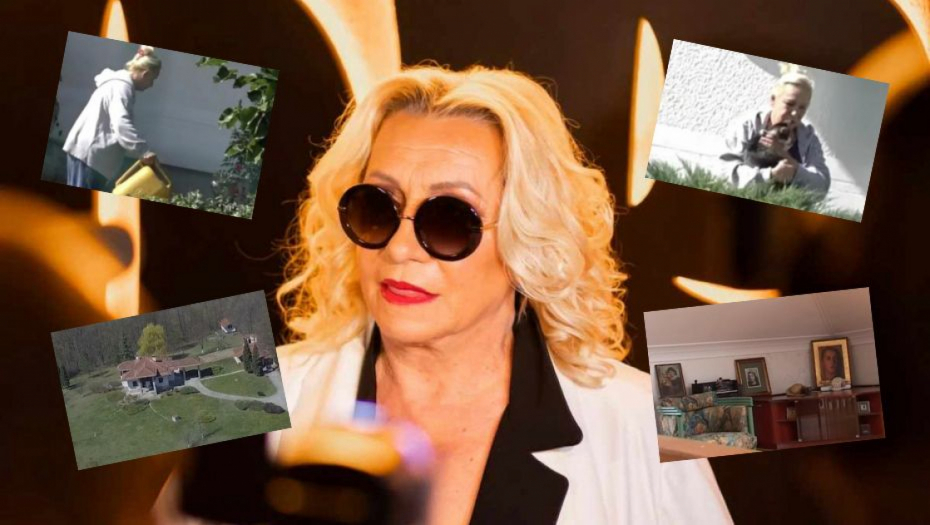 KUĆA USRED ŠUME Ovako izgleda raj Vesne Zmijanac, pevačica sagradila vilu daleko od Beograda
