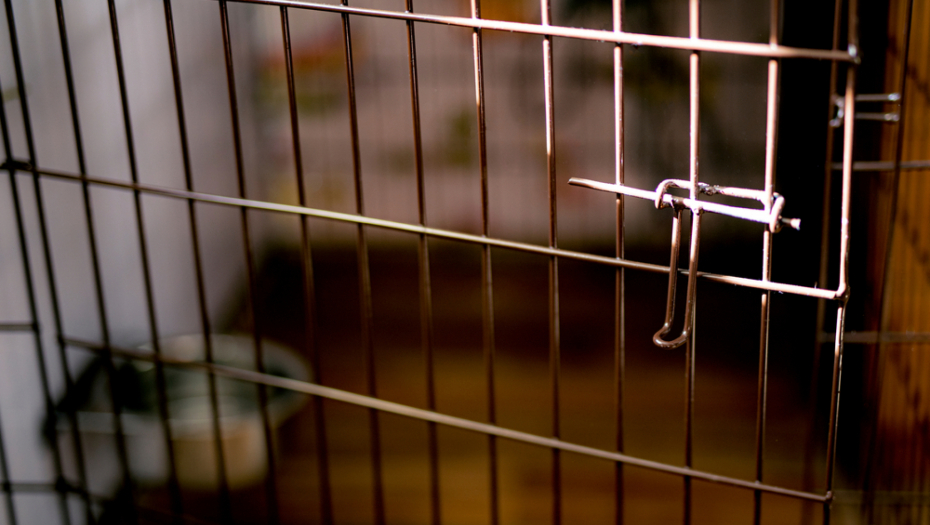 RODITELJI MENTALNO OBOLELU ĆERKU (29) GODINAMA DRŽALI U KAVEZU! Majka monstrum se pravdala JEZIVOM rečenicom!