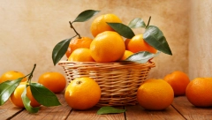 KREĆE BERBA ALI VOĆARI NISU ZADOVOLJNI CENOM