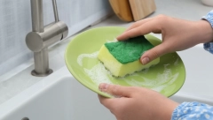 UVEK ĆE VAM BITI PRI RUCI Zamrznite sunđer za sudove, nećete verovati koliko će vam koristiti u ovoj situaciji