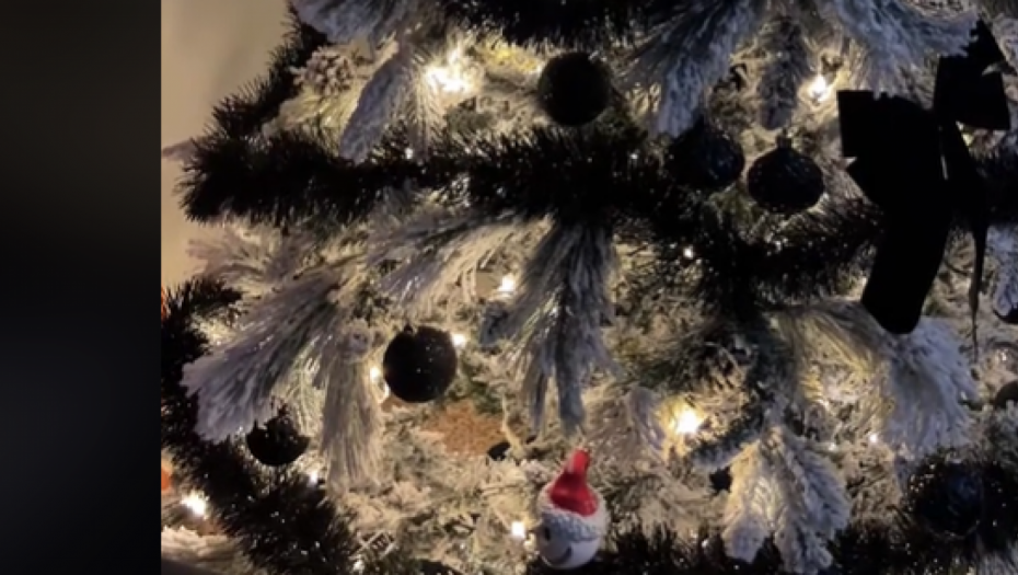 ČULA KIJANJE, PRIBLIŽILA SE JELKI I USLEDIO ŠOK Kada je ugledala ovo stvorenje, umalo se nije onesvestila (VIDEO)