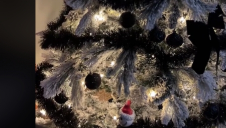 ČULA KIJANJE, PRIBLIŽILA SE JELKI I USLEDIO ŠOK Kada je ugledala ovo stvorenje, umalo se nije onesvestila (VIDEO)