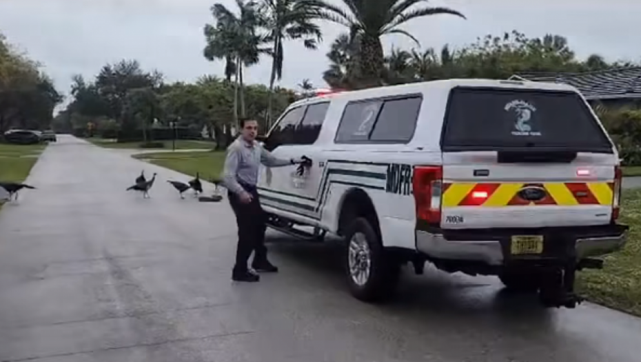 OPASNI PREDATOR NASRED ULICE! Hrabri čovek oči u oči sa "čudovištem" od 2,4 metra (FOTO)