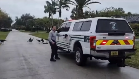 OPASNI PREDATOR NASRED ULICE! Hrabri čovek oči u oči sa "čudovištem" od 2,4 metra (FOTO)