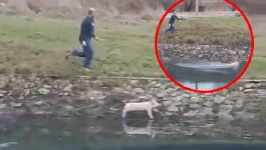 PRASE MU UTEKLO SA RAŽNJA! Skočilo u hladnu reku i zaplivalo: "Saznalo da ide Božić!" (VIDEO)
