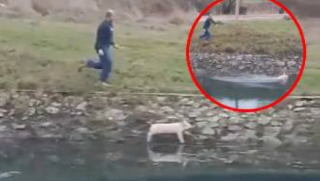 PRASE MU UTEKLO SA RAŽNJA! Skočilo u hladnu reku i zaplivalo: "Saznalo da ide Božić!" (VIDEO)