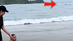 ŽENA SNIMILA NAPAD AJKULE Igrala se sa ćerkicom na plaži kada je iza njenih leđa počeo da se dešava horor (UZNEMIRUJUĆI VIDEO)