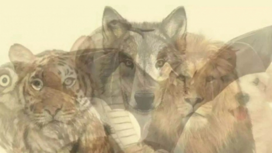 PSIHO TEST Koju životinju prvo vidite na slici, otkriva najdublju tajnu vaše ličnosti