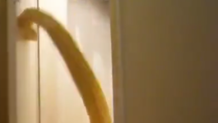 ČOVEK JE MIRNO LEŽAO U SOBI, A ONDA...  Ljudi u neverici, šta se ovde dešava? (VIDEO)