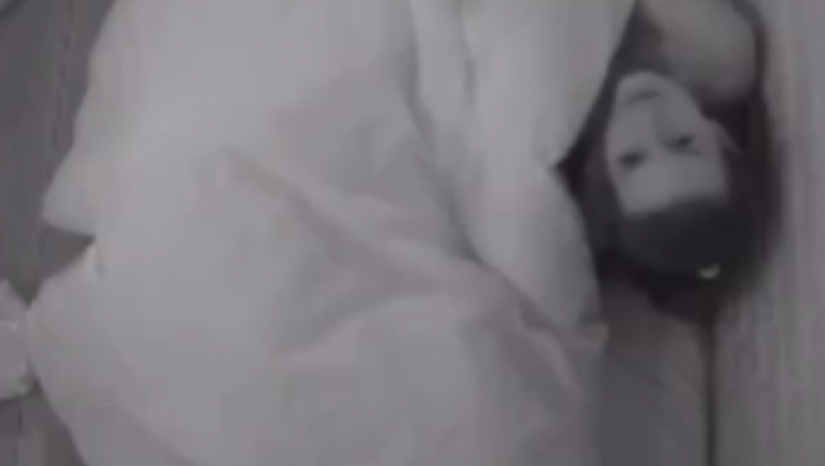 ANITA BRIŠE ANĐELOV POLNI OGRAN NAKON ODNOSA Isplivao tajni snimak iz Elite, javnost zgrožena