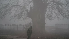 "NE IZLAZITE IZ KUĆA" Magla, hladnoća, lančani udes, najzagađeniji grad na svetu (FOTO)