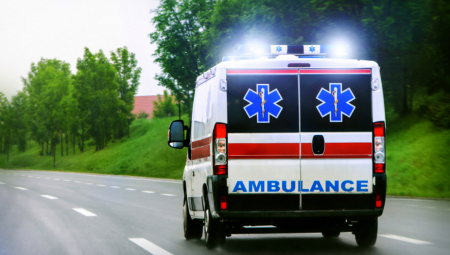 OSMOGODIŠNJAKA PROŽDRALA NEMAN Majka gledala kako gmizavac odnosi njenog sina