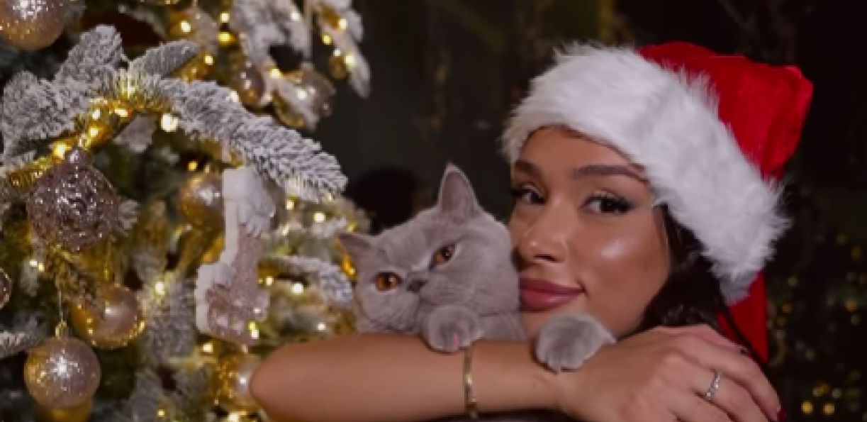 RASKOŠNA JELKA ANJE BLA VREDI 1.500 EVRA Influenserka pokazala luksuzni dom, samo na ukrase pukla 500 evra