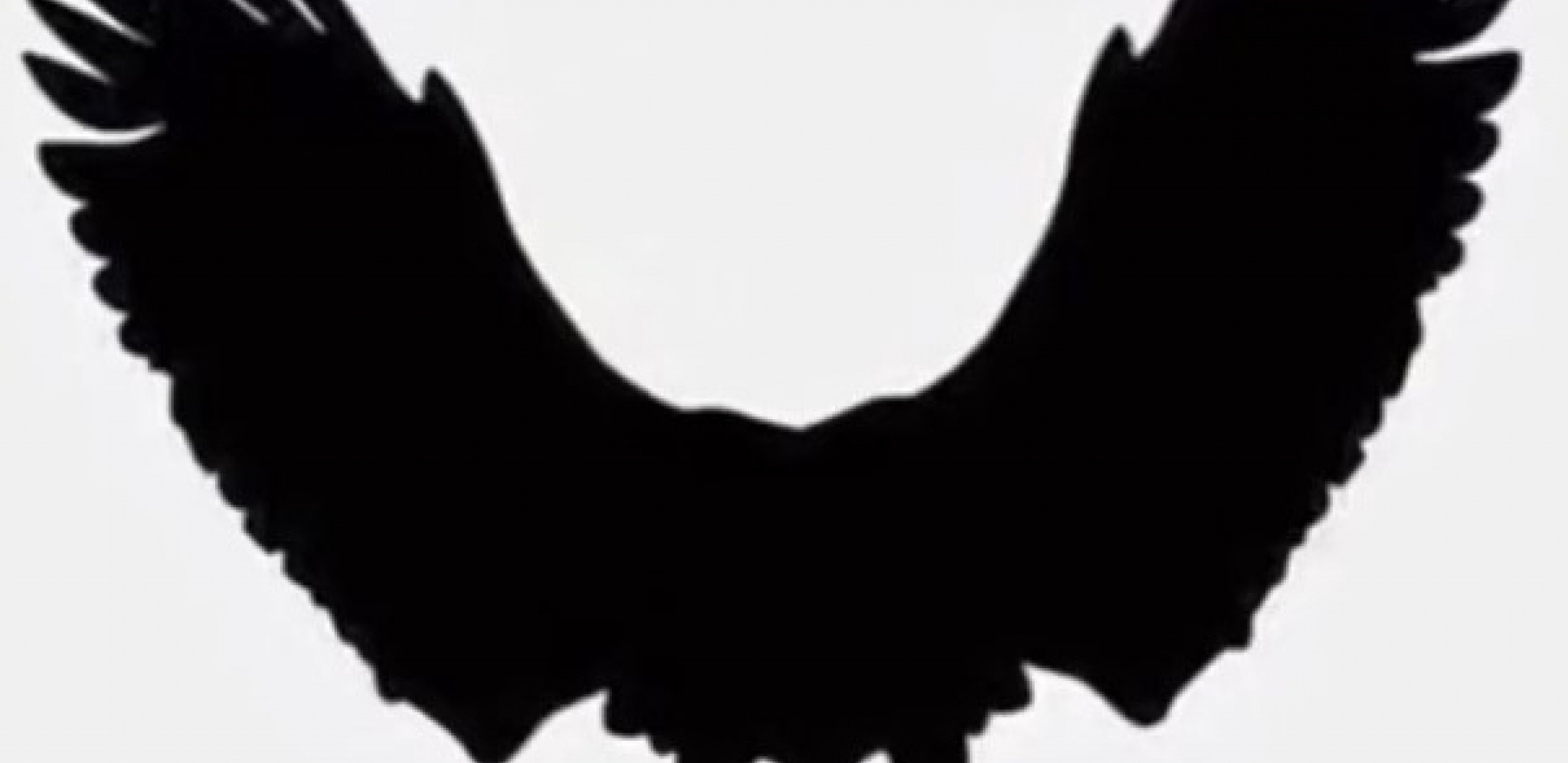 ŠTA STE PRVO UGLEDALI NA SLICI? Vaš odgovor otkriva zašto ne možete da ostvarite ljubavne i poslovne ciljeve