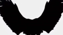 ŠTA STE PRVO UGLEDALI NA SLICI? Vaš odgovor otkriva zašto ne možete da ostvarite ljubavne i poslovne ciljeve