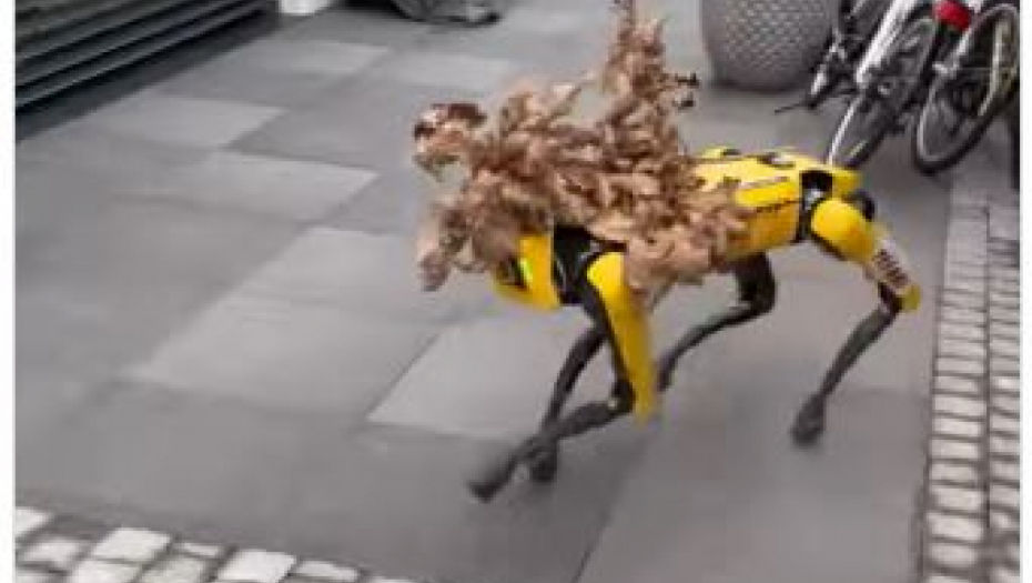 TAMAN KAD MISLITE DA STE SVE VIDELI....Srbin po badnjak sa ROBOTOM! Nek vide Švajcarci kako to radi Ljubiša (VIDEO)