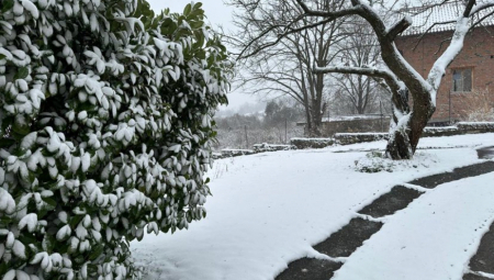 ZABELELO SE U BEOGRADU Na periferiji prava zimska idila! Evo do kada će da nam bude ovakvo vreme
