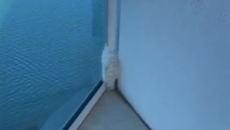 PAS TRČAO NA TERASI, A ONDA SE ZALETEO I NESTAO Vlasnici bespomoćno gledali, onda se dogodilo nešto vrlo neobično ( VIDEO)
