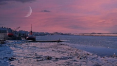 HOROSKOP ZA 16. JANUAR Bik uživa u flertu, Jarcu nova poslovna ponuda, Lavu problemi sa pritiskom