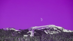 HOROSKOP ZA 12. JANUAR Devici napetost na poslu, Ovnu se neko meša u vezu, Jarac u psihološkom padu