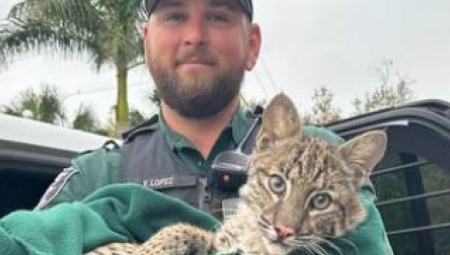 POLICAJAC SPASIO POVREĐENOG RISA Ono što je usledilo oduševilo je društvene mreže (VIDEO)