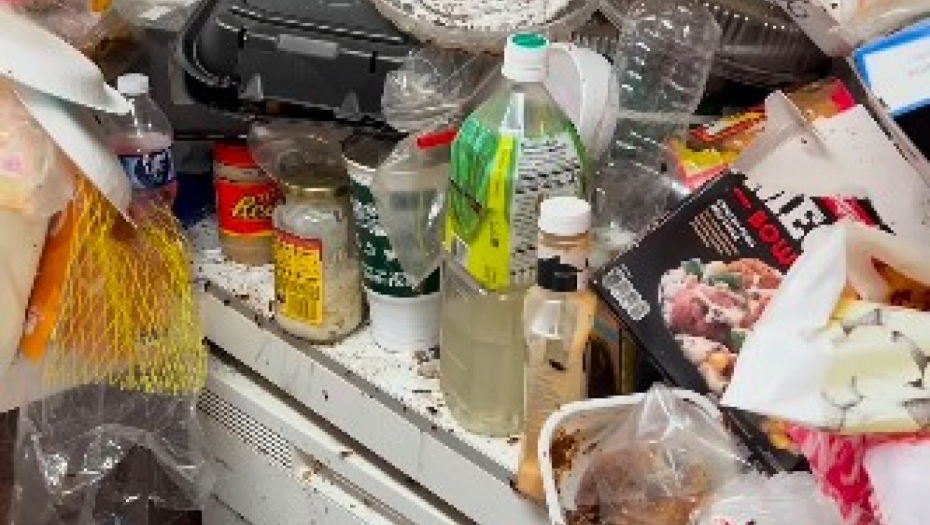 NEMA TOG SVINJCA KOJI KATARINA NE MOŽE DOVESTI U RED Majka i ćerka (13) godinama su živele u kući punoj đubreta, prljavštine i buba, prevrnuće vam se želudac kad vidite snimak