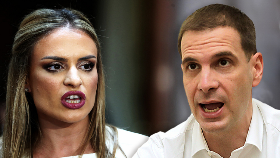 MILICA RASTURILA MILOŠ FRANCUZA "Sve što radi liči na aktivnosti NVO koja konkuriše kod EU fondova"