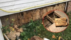 MISLI SU DA JE REČ O URBANOJ LEGENDI Dok su renovirali kuću u zidovima prpnašli pravo malo bogatstvo