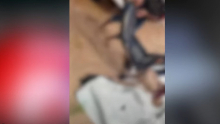 NA MREŽAMA SE POJAVIO JEZIV SNIMAK Pecaroša pojele ribe! Ostao mu pramen kose i koža na rukama