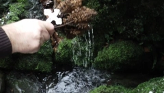 MEŠTANI DUBOKO VERUJU U "LEKOVITA SVOJSTVA" OVOG IZVORA Velika svetinja skrivena je u gustoj šumi u Srbiji (FOTO)