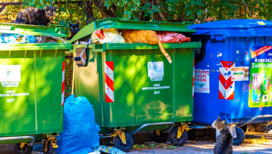 NOVOROĐENČE PRONAĐENO U KANTI ZA SMEĆE Evo u kakvom je stanju beba