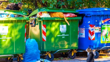 NOVOROĐENČE PRONAĐENO U KANTI ZA SMEĆE Evo u kakvom je stanju beba