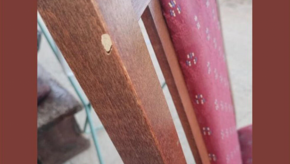 SRPKINJA IMA VELIKI PROBLEM Čula neobične zvukove, videla uništen nameštaj, pa se požalila na mrežama (FOTO)