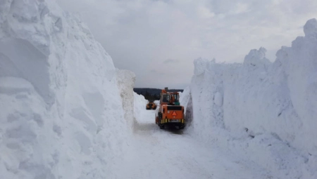 PUTARI IMAJU PUNE RUKE POSLA Planina promeni ćud za pet minuta, zavejana Golija (FOTO)