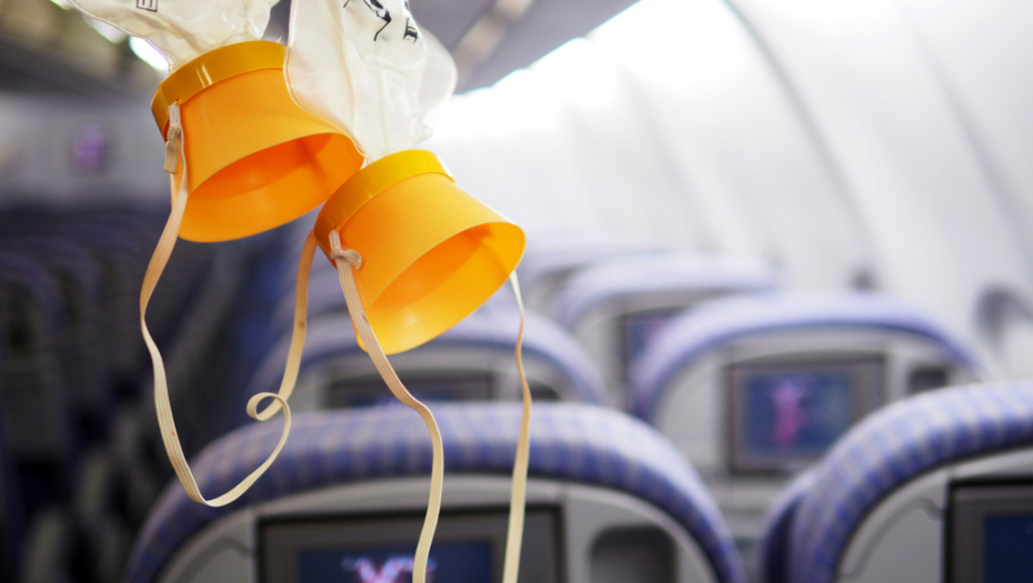 KAKO BISTE VI ODREAGOVALI? Pronađena zmija u avionu (VIDEO)
