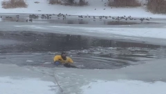 HEROJ KOJI JE SPASAO PSA Vatrogasac puzao po ledu kako bi iz ledene vode izvukao kucu (VIDEO)
