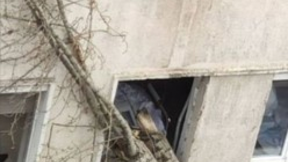 DRVO SE OBRUŠILO NA BEOGRADSKU BOLNICU, ZAMALO DA PADNE NA KREVET Drama na Zvezdari, slika odande je jeziva